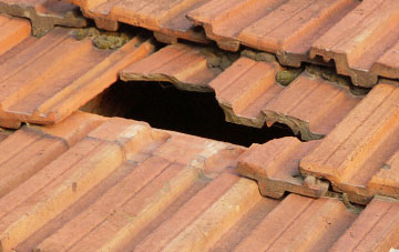 roof repair Little Newsham, County Durham