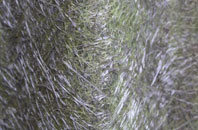 Little Newsham fibreglass roof work